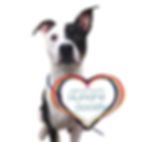 Jefferson County Humane Society