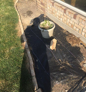 Lanscaping