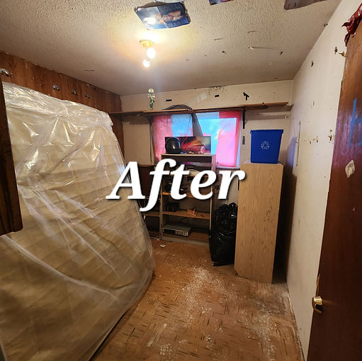 After Picture in Nanaimo of Bed Bug Mattress Removal