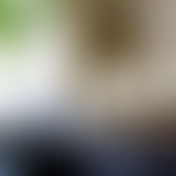 名古屋 期間限定 7月1日 - 7月15日 in Fuligo shed