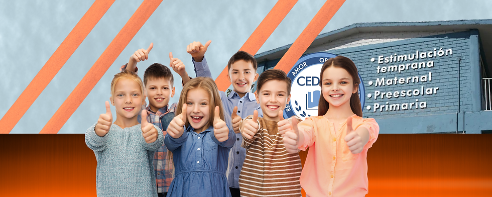 portada wix cedemo 2025.png