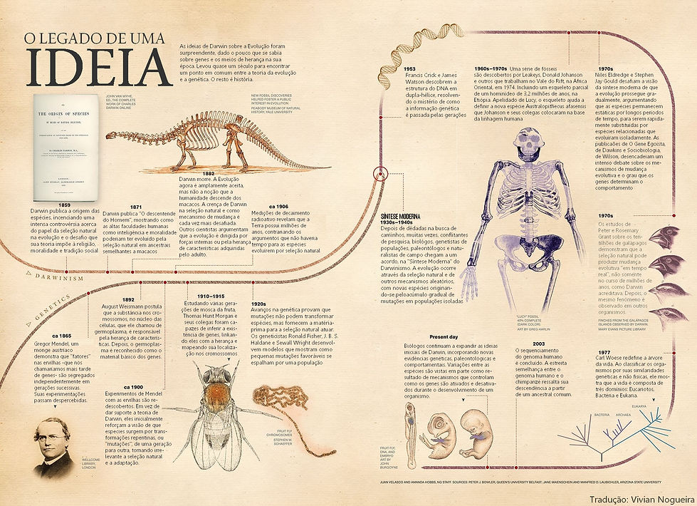 O Legado de uma Ideia