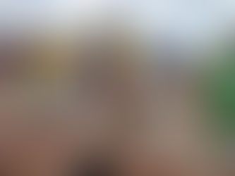 O que é Racismo Ambiental?