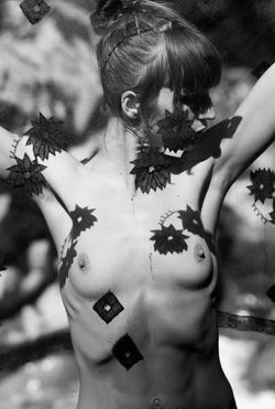 21846876161_d8e20460c9_b