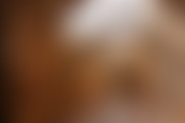 Les abbayes du Sud-Ouest, du 10 au 14 juin 