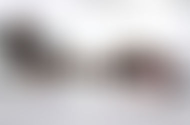 "Festival of Ballerinas,"- with Cleveland Inner City Ballet