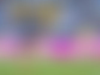 Millonarios no participará en la Liga Femenina