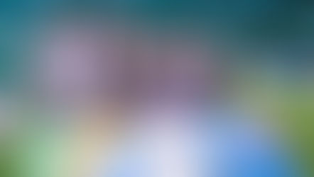 1x1 | Con un empate en el clásico añejo inició la etapa de Fabián Bustos