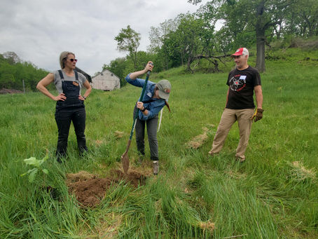 Driftless Area Land Conservancy's 2021 Highlights