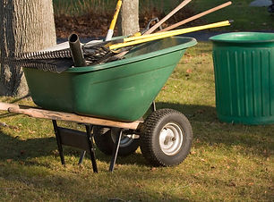 Website Pictures (12).jpg