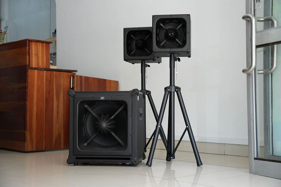 Thumbnail: DSM PRO ARY-1528 Line Array Audio System