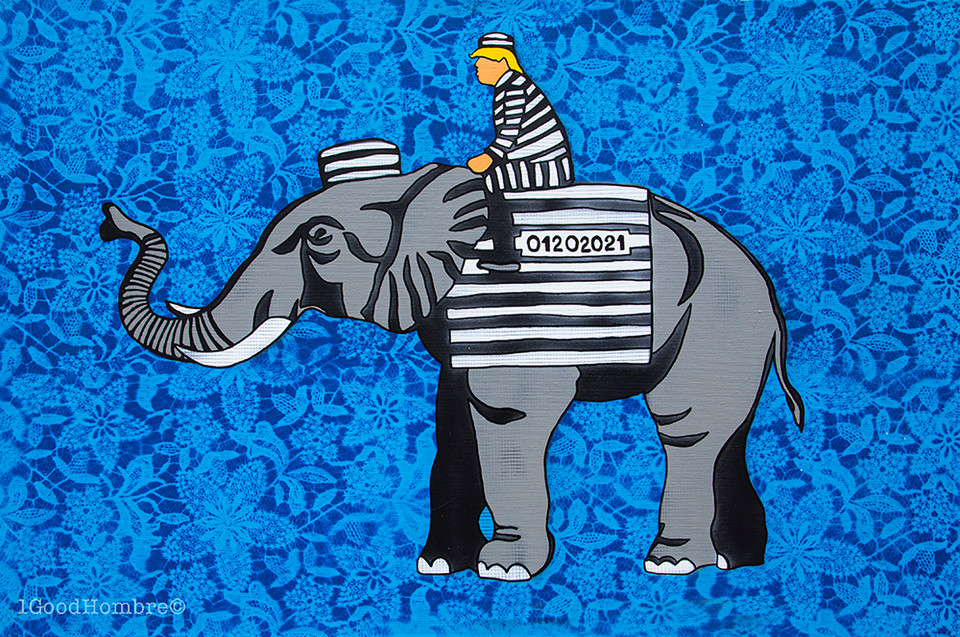 Trump's Republican Party