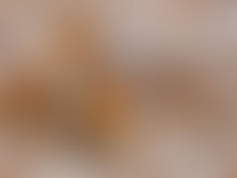 Дзікія дывёлы