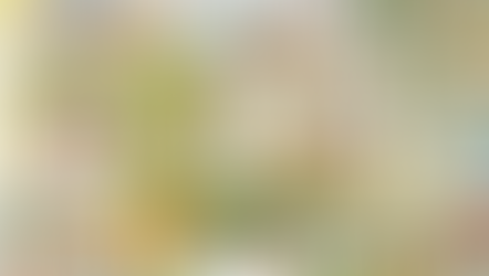 Кнігі -глядзелкі