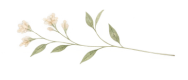 file_000000000d6c81f48f3aab7c8ddb6565(19).png