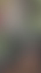 Holiday Post: First Entry /December 2025