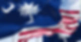 Pruitt for Congress flags.jpeg