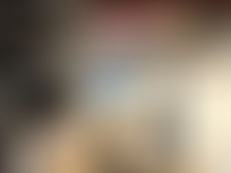 Front and Back Room Cameras