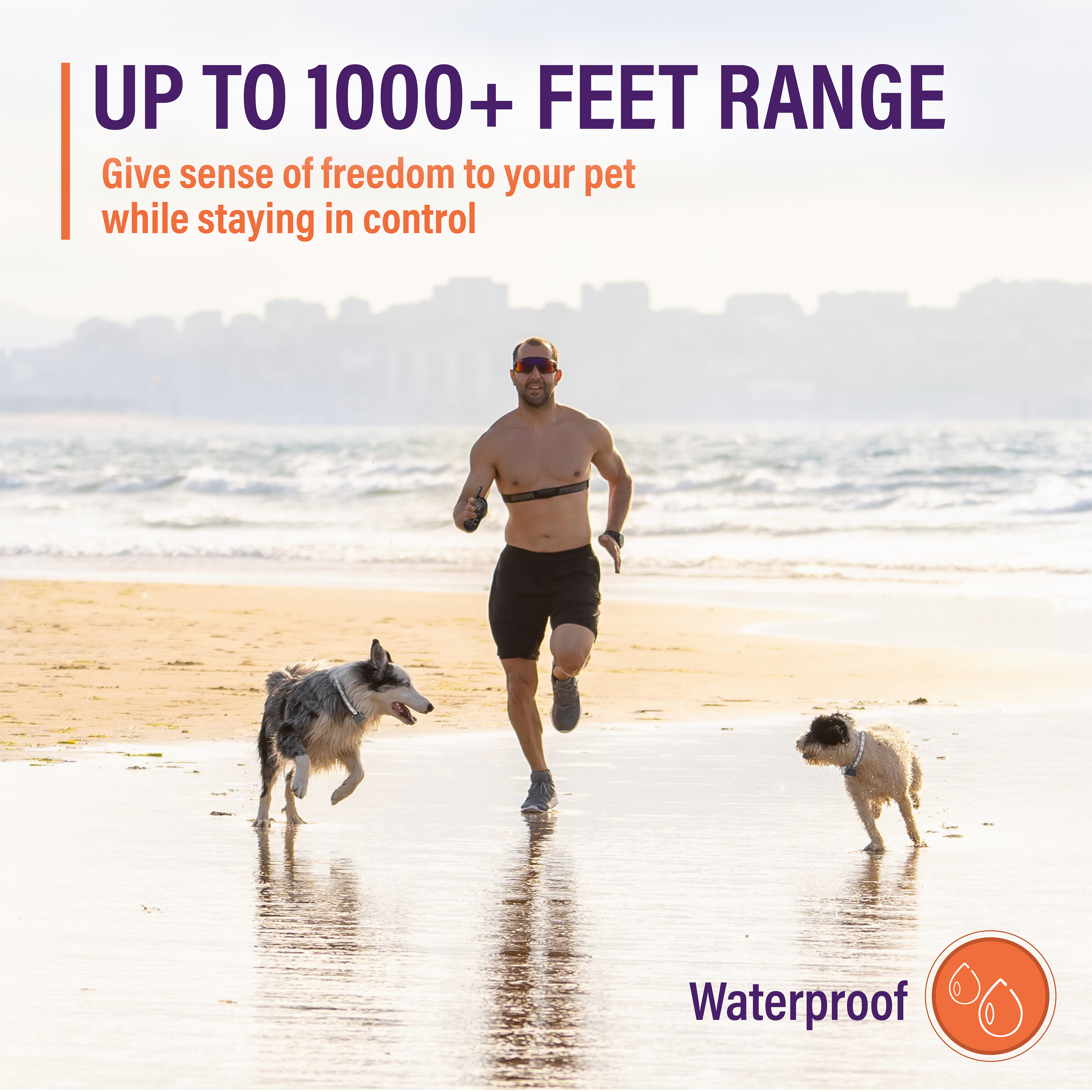 pawious dog training collar