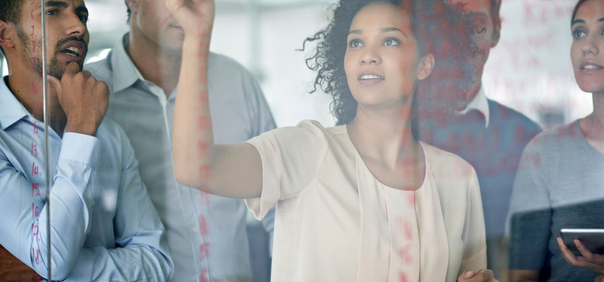 Education Acquisition Group's "Our History" share a brief background on our CEO's, Mykia Cadet's, vision, mission, and values for executive consulting, coaching, observing, analyzing, evaluating programs/projects.