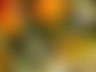 Roasted Veggies and pasta make a budget friendly meal