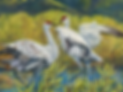 sandhill cranes.png