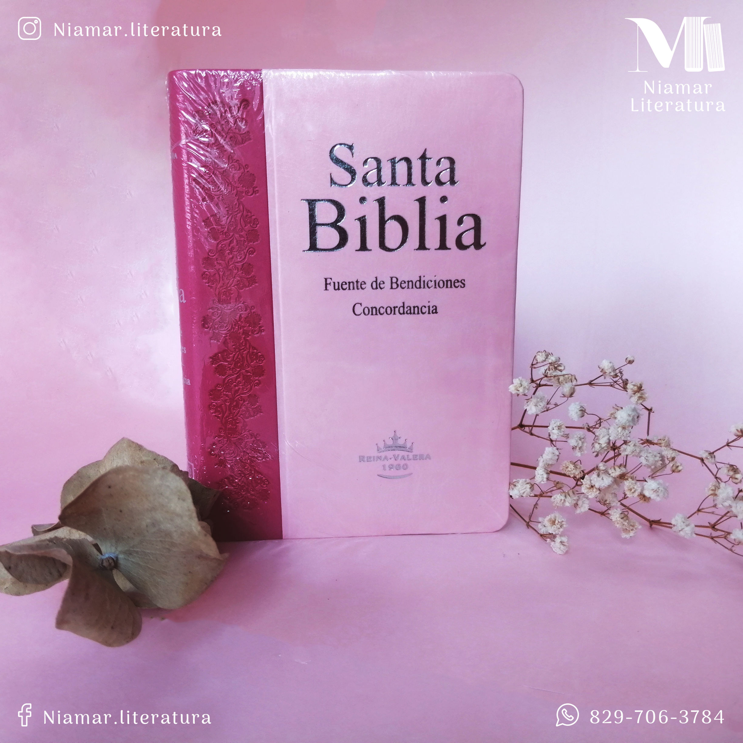 Biblia Fuente de Bendiciones de Promesas