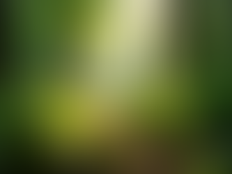 The Importance of Sustainable Living in Today's World