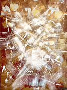 IMG_8728.JPEG