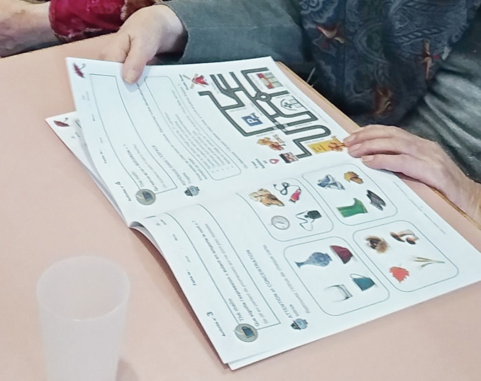 Miniature : LES CARNETS seuls - les 4 saisons