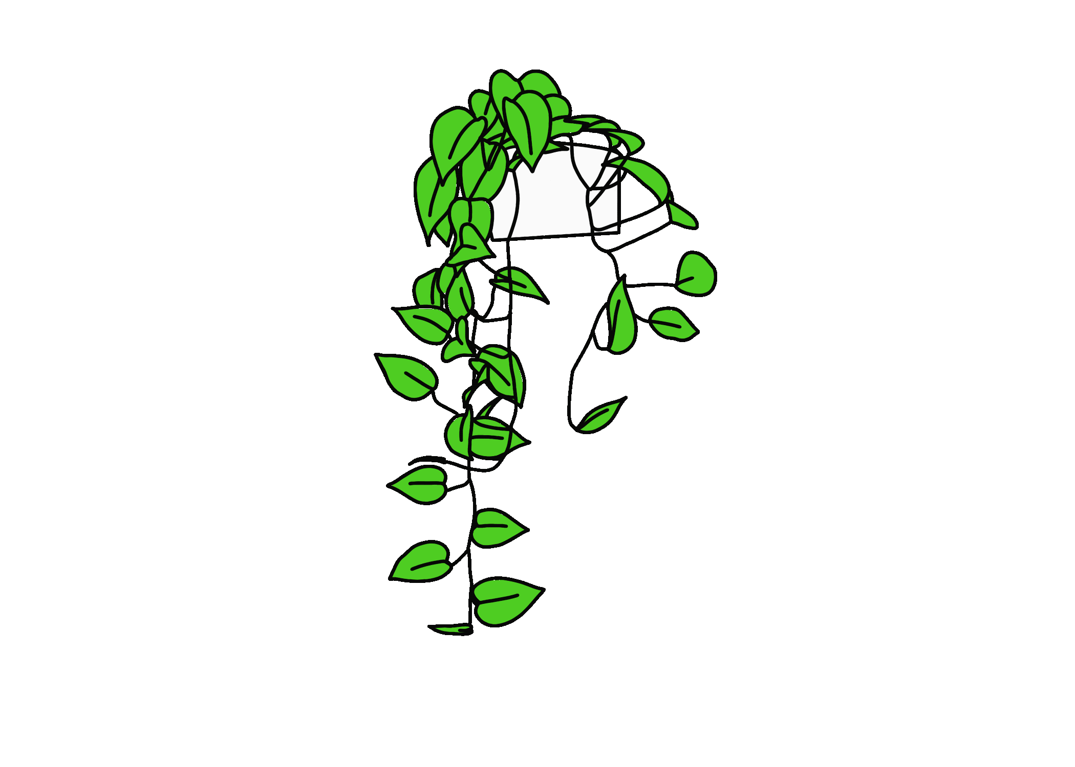 IMG_0142.GIF.gif