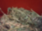 The best hay