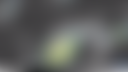 Satellite Loop of Hurricane Barry