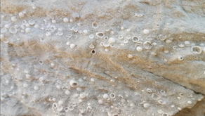 That day it hailed during a super volcano eruption
