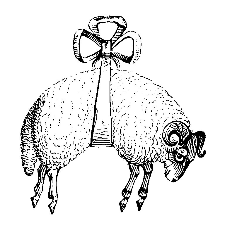 Vivi Trading Co.