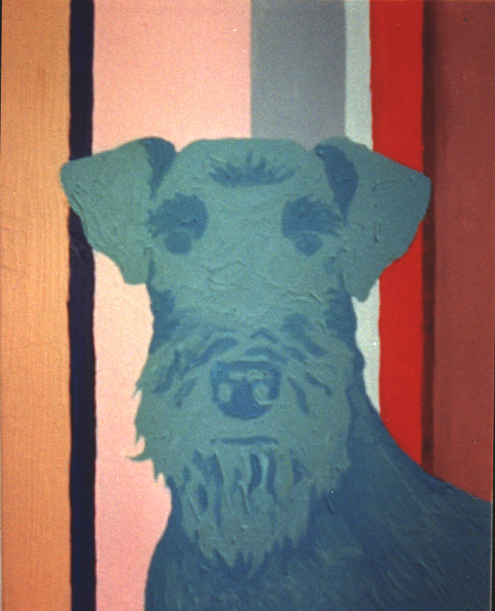 Terrier