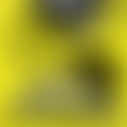 PELLA WINDOW & DOOR OF GEORGIA TO BE THE PRIMARY SPONSOR OF RYAN ELLIS & THE NO.43 CHEVY IN ATLANTA