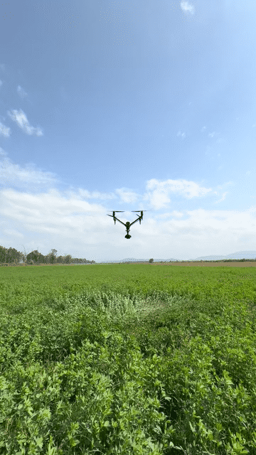 IMG_0127-low.gif