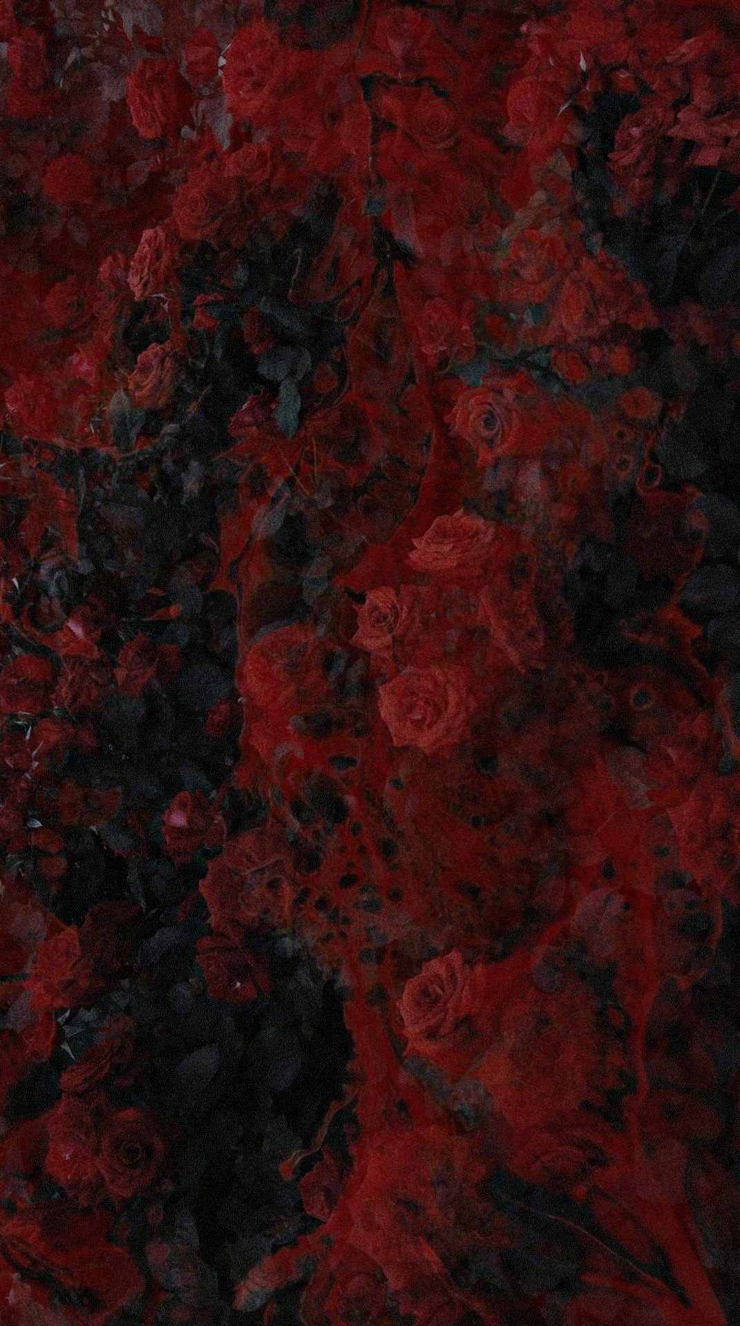 rose & blood background.png