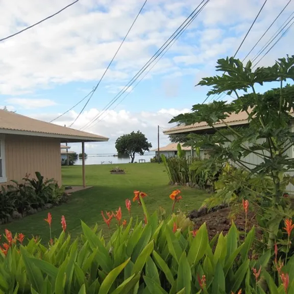 Home Tropical Island Properties Llc Molokai Beach Cottages Molokai Beach Cottages