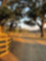 Sunrise view.jpeg