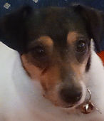 Molly