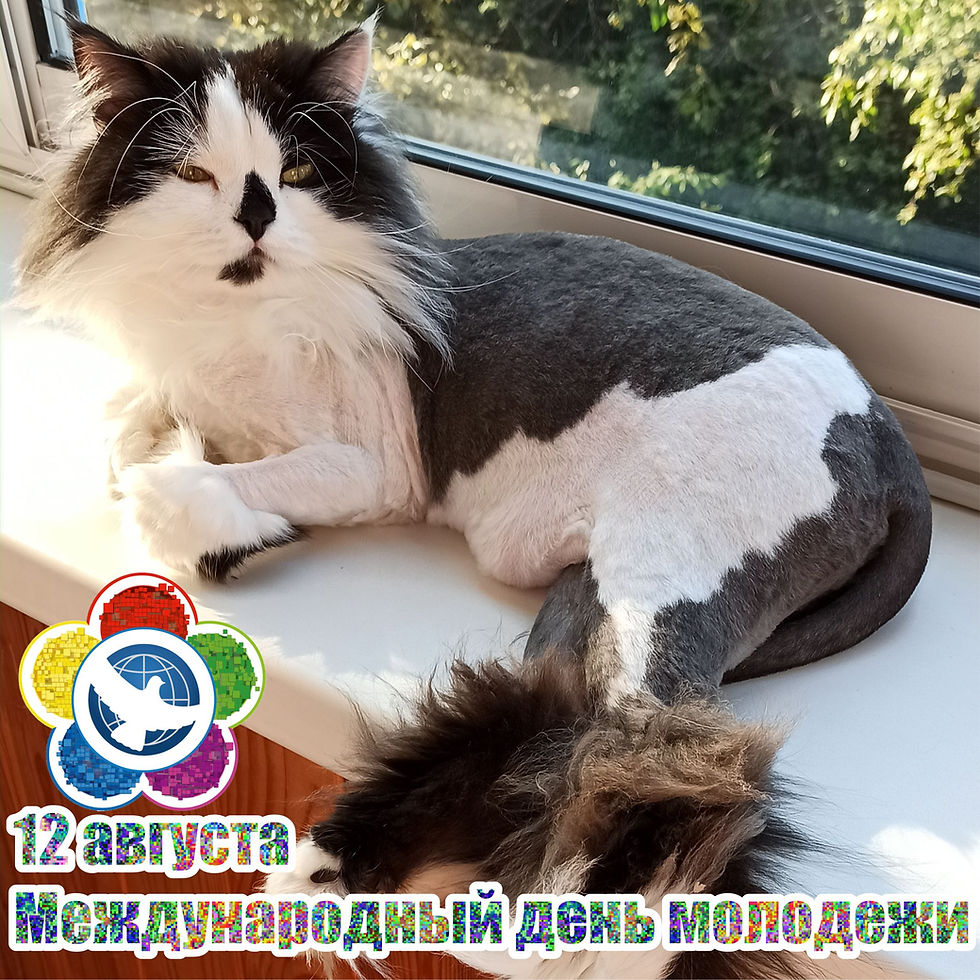 12 августа 2020 г. Международный день молодежи