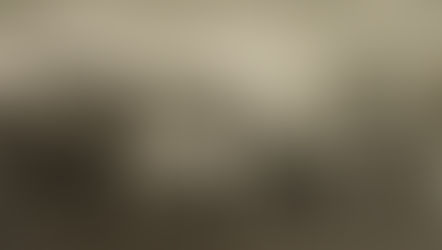 В Госдуме назвали число россиян, которым грозит потеря работы