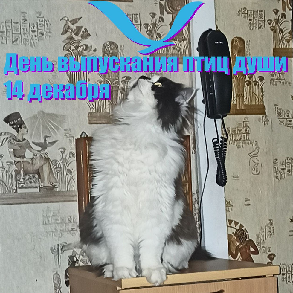 14 декабря 2020 г. День выпускания птиц души