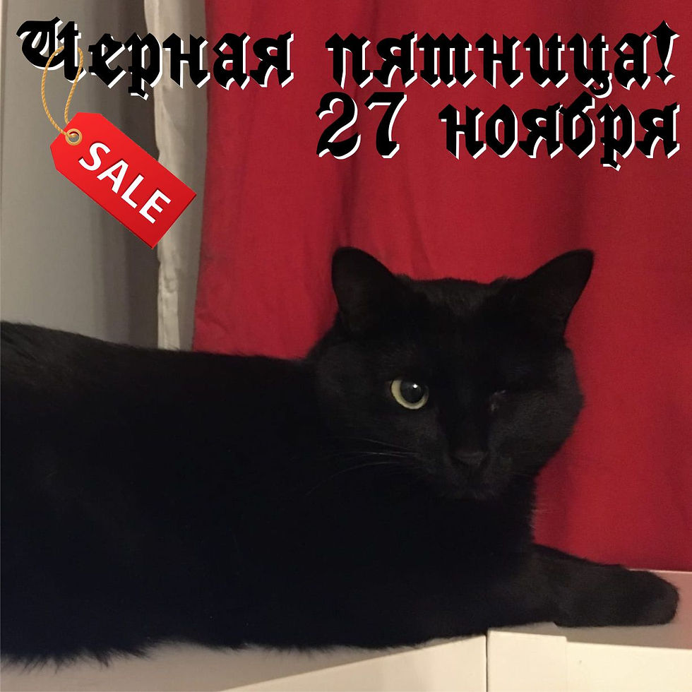 27 ноября 2020 г. Черная пятница (Black Friday)