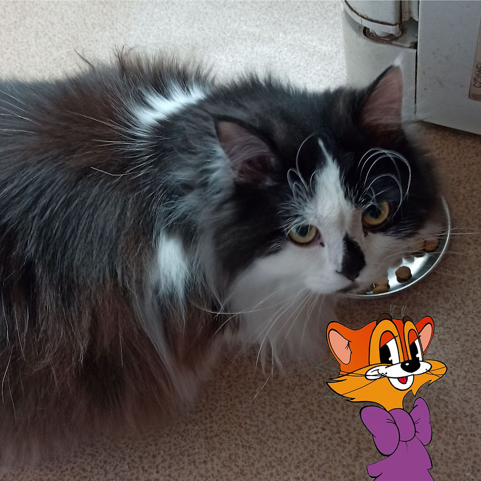 17 февраля 2020 г. День спонтанного проявления доброты