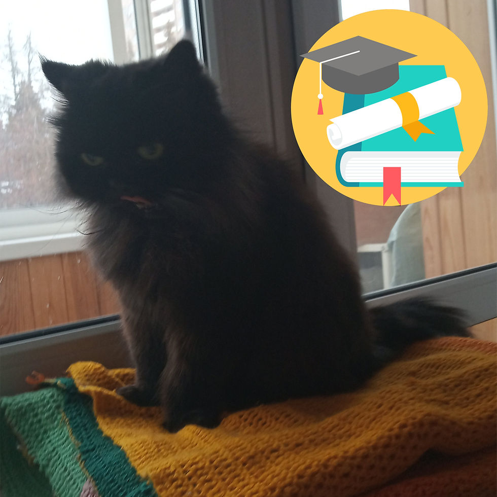 24 января 2020 г. Международный день образования