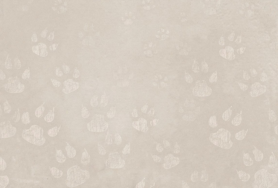 IMG_3912_edited_edited_edited.jpg
