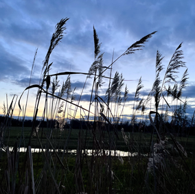 Spanning is een vriendin